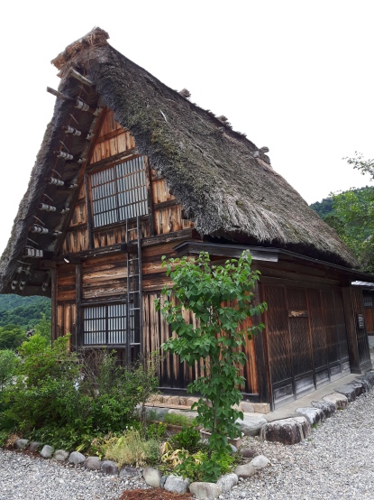 As casas típicas de Shirakawa. Feitas em madeira e com um telhado muito típico.